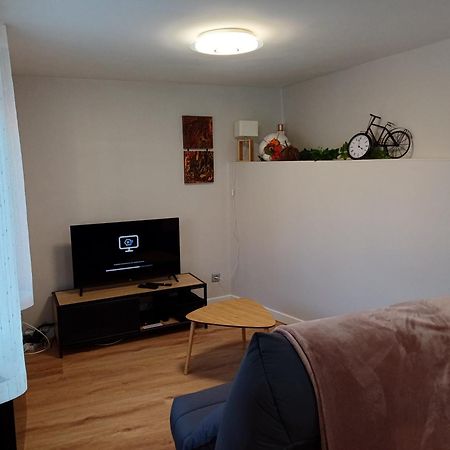 Le Petit Fleck Appartement Haguenau Buitenkant foto