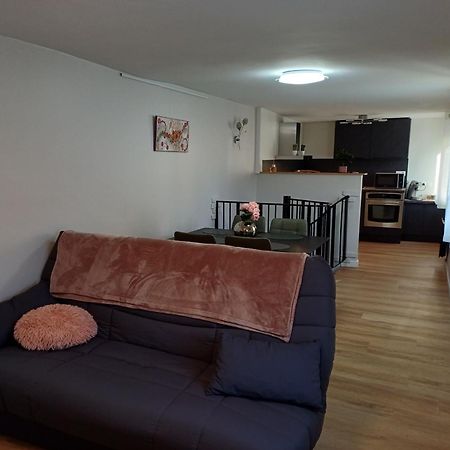 Le Petit Fleck Appartement Haguenau Buitenkant foto