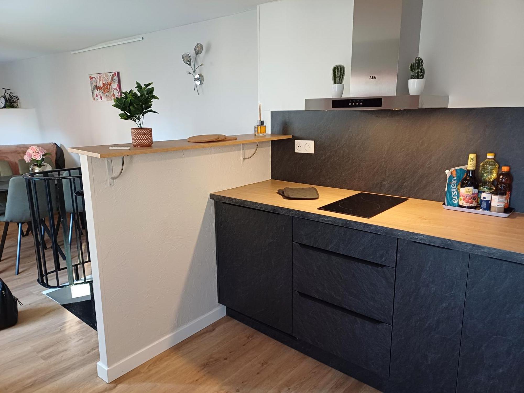 Le Petit Fleck Appartement Haguenau Buitenkant foto