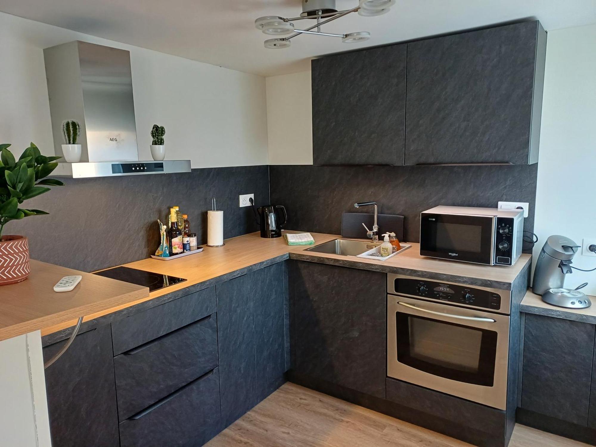 Le Petit Fleck Appartement Haguenau Buitenkant foto